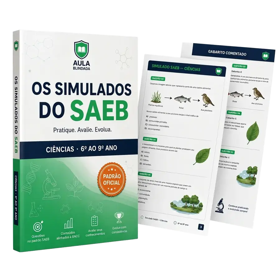 Mockup simulados SAEB comentados