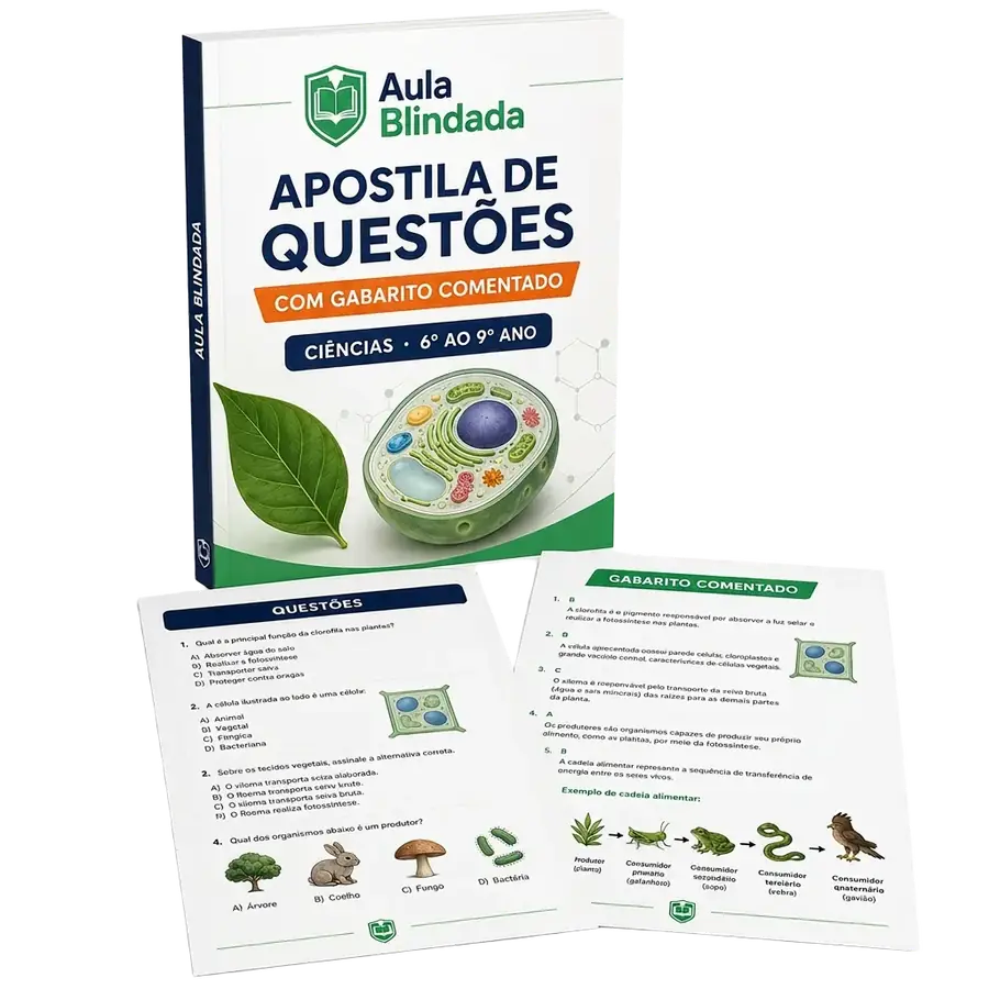 Mockup caderno de questões comentadas